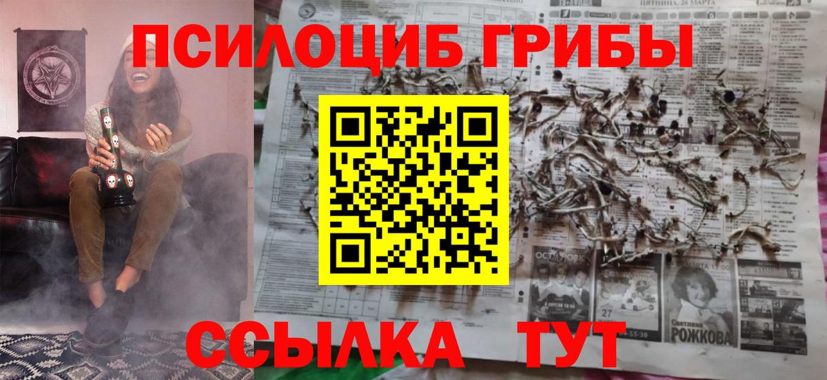 Псилоцибиновые грибы GOLDEN TEACHER Кингисепп