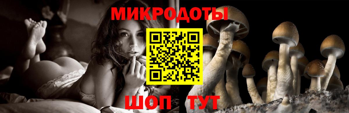 Кингисепп  Галлюциногенные грибы Psilocybe  Вход с VPN 